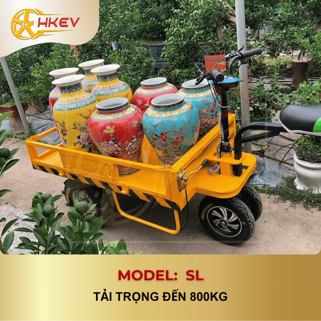 xe-dien-da-dung-sl-800kg-4.png